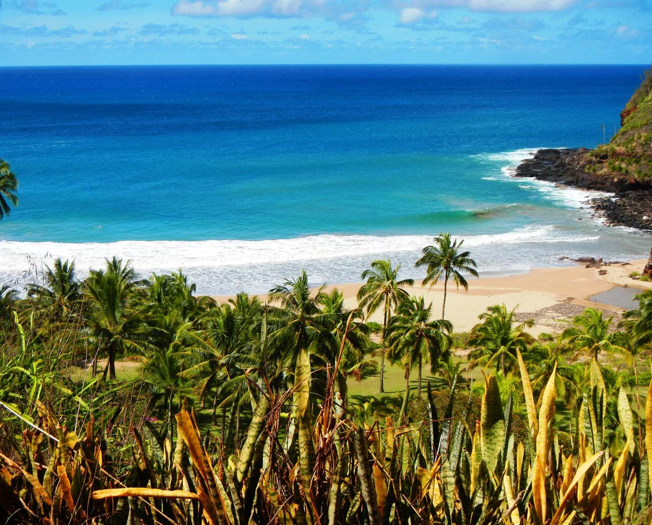 What Is the Best Month to Go to Kauai?
