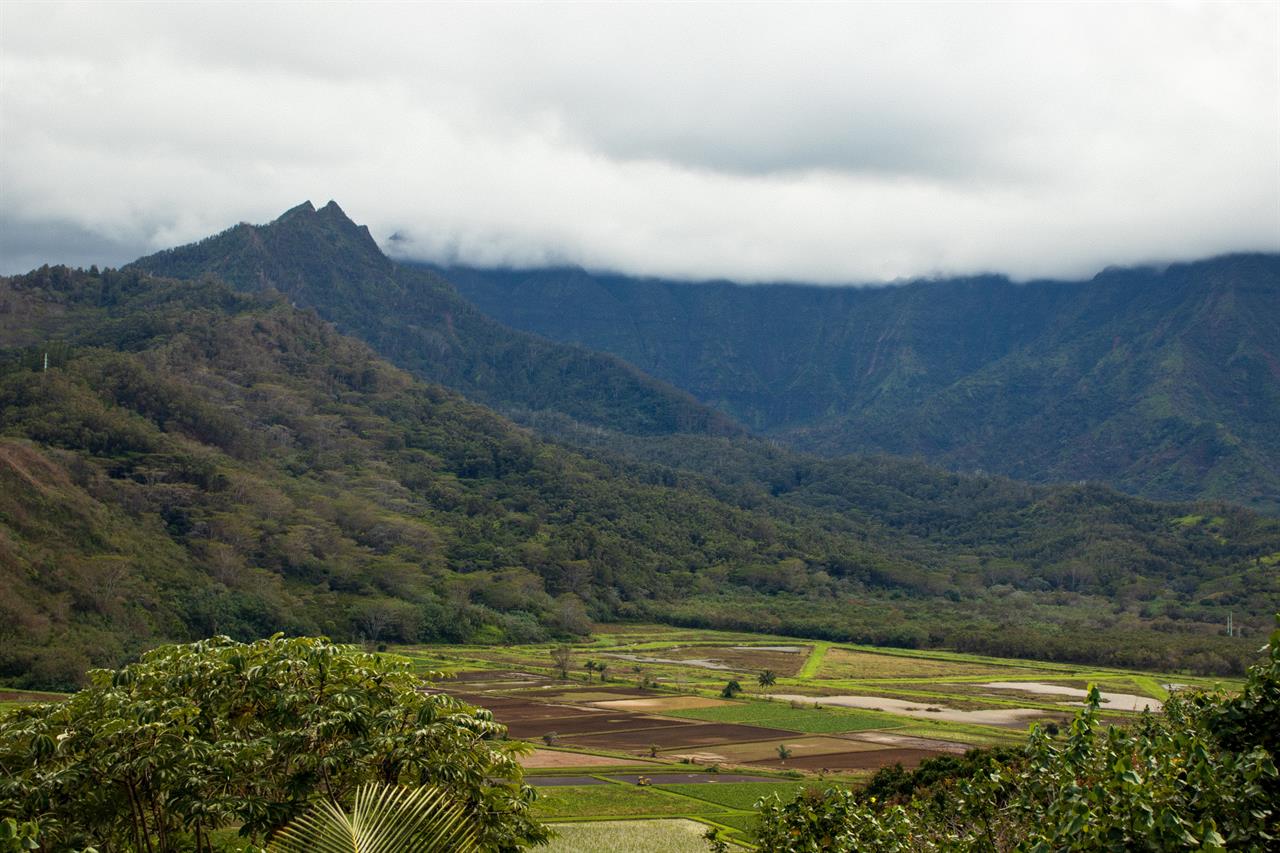 Things to Do In Kauai When It Rains