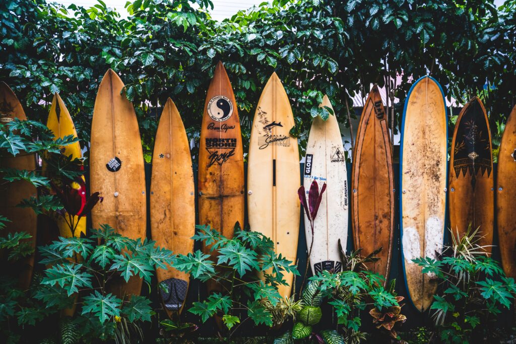 Row of surfboards set in lush green jungle Kappa, Kauai blog post